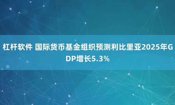 杠杆软件 国际货币基金组织预测利比里亚2025年GDP增长5.3%