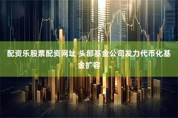 配资乐股票配资网址 头部基金公司发力代币化基金扩容