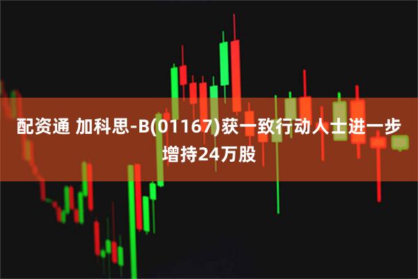 配资通 加科思-B(01167)获一致行动人士进一步增持24万股